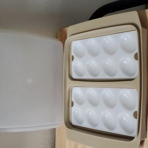 Vintage Tupperware Deviled Egg Holder #723-3